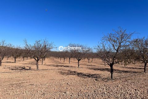 Helårsgrund i Yecla, Murcia, Yecla - € 6.500.000 | Ref: KCS3046 - foto 44