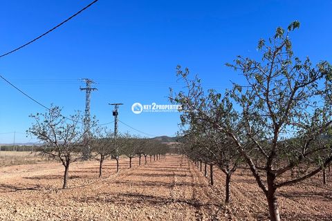 Helårsgrund i Yecla, Murcia, Yecla - € 6.500.000 | Ref: KCS3046 - foto 47