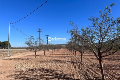 Helårsgrund i Yecla, Murcia, Yecla - € 6.500.000 | Ref: KCS3046 - foto 48