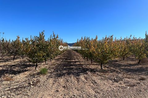 Helårsgrund i Yecla, Murcia, Yecla - € 6.500.000 | Ref: KCS3046 - foto 49
