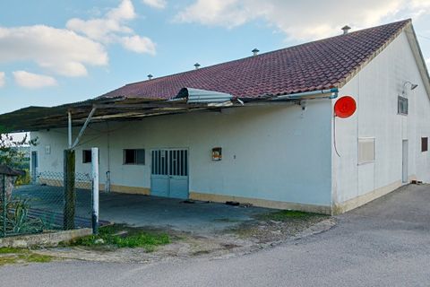 Erhvervsejendom i Tomar, Santarem, Tomar - € 185.000 | Ref: VCP402 - foto 3