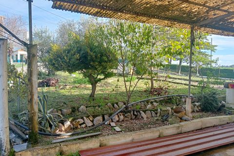 Erhvervsejendom i Tomar, Santarem, Tomar - € 185.000 | Ref: VCP402 - foto 4