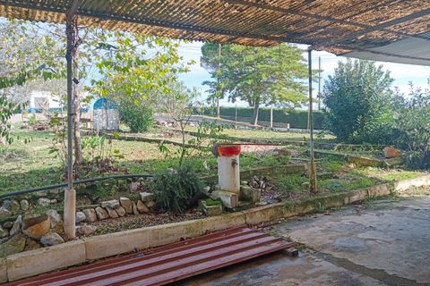 Erhvervsejendom i Tomar, Santarem, Tomar - € 185.000 | Ref: VCP402 - foto 5