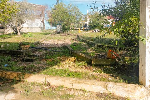 Erhvervsejendom i Tomar, Santarem, Tomar - € 185.000 | Ref: VCP402 - foto 6