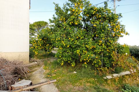 Erhvervsejendom i Tomar, Santarem, Tomar - € 185.000 | Ref: VCP402 - foto 12
