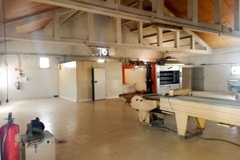 Erhvervsejendom i Tomar, Santarem, Tomar - € 185.000 | Ref: VCP402 - foto 14