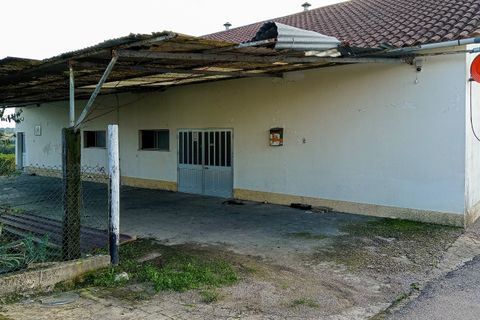 Erhvervsejendom i Tomar, Santarem, Tomar - € 185.000 | Ref: VCP402 - foto 24