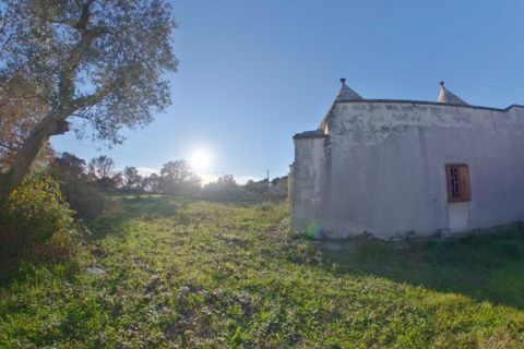 Landejendom i Cisternino, Brindisi, Cisternino - € 390.000 | Ref: BADA - foto 23