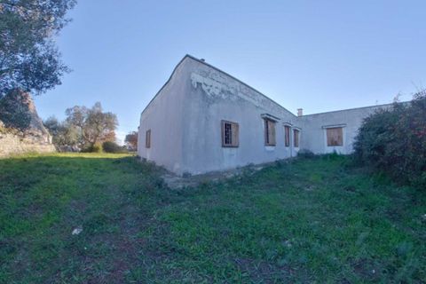 Landejendom i Cisternino, Brindisi, Cisternino - € 390.000 | Ref: BADA - foto 24