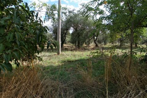 Landejendom i Monopoli, Bari, Monopoli - € 315.000 | Ref: CADELU - foto 38