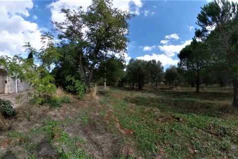 Landejendom i Monopoli, Bari, Monopoli - € 315.000 | Ref: CADELU - foto 39