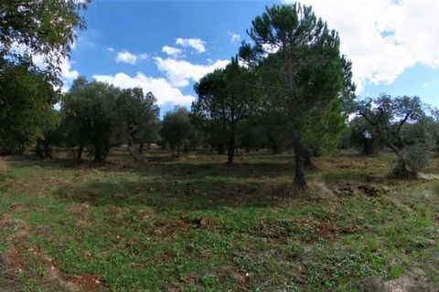 Landejendom i Monopoli, Bari, Monopoli - € 315.000 | Ref: CADELU - foto 40