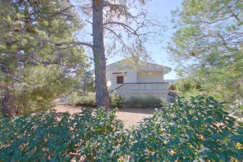Villa i Monopoli, Bari, Monopoli - € 500.000 | Ref: CIAGO - foto 13