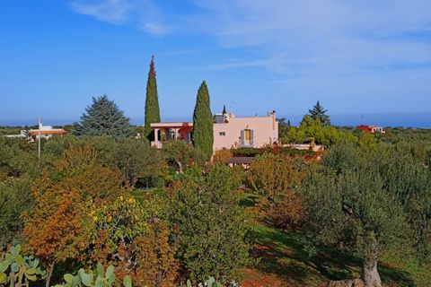 Landejendom i Monopoli, Bari, Monopoli - € 2.600.000 | Ref: DUET - foto 15