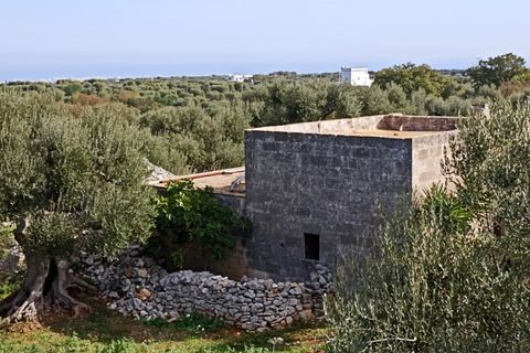 Landejendom i Monopoli, Bari, Monopoli - € 2.600.000 | Ref: DUET - foto 25