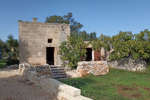 Landejendom i Monopoli, Bari, Monopoli - € 2.600.000 | Ref: DUET - foto 26