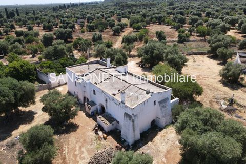 Landejendom i Ostuni, Brindisi, Ostuni - € 2.150.000 | Ref: ALSAO - foto 10