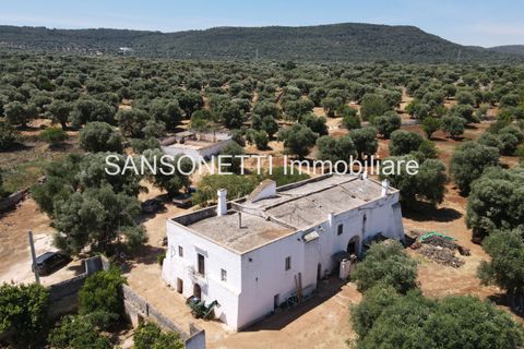 Landejendom i Ostuni, Brindisi, Ostuni - € 2.150.000 | Ref: ALSAO - foto 11