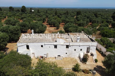 Landejendom i Ostuni, Brindisi, Ostuni - € 2.150.000 | Ref: ALSAO - foto 12