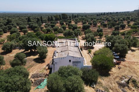 Landejendom i Ostuni, Brindisi, Ostuni - € 2.150.000 | Ref: ALSAO - foto 13