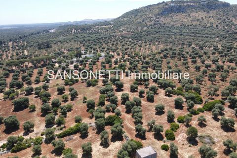Landejendom i Ostuni, Brindisi, Ostuni - € 2.150.000 | Ref: ALSAO - foto 14
