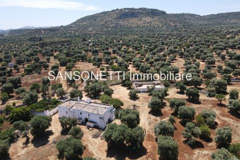 Landejendom i Ostuni, Brindisi, Ostuni - € 2.150.000 | Ref: ALSAO - foto 15