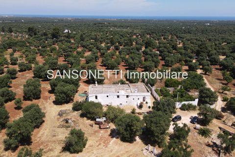Landejendom i Ostuni, Brindisi, Ostuni - € 2.150.000 | Ref: ALSAO - foto 16