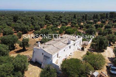 Landejendom i Ostuni, Brindisi, Ostuni - € 2.150.000 | Ref: ALSAO - foto 17