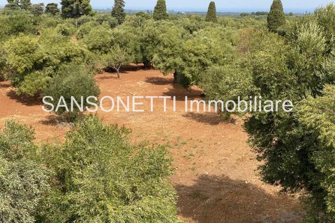 Landejendom i Ostuni, Brindisi, Ostuni - € 2.150.000 | Ref: ALSAO - foto 32