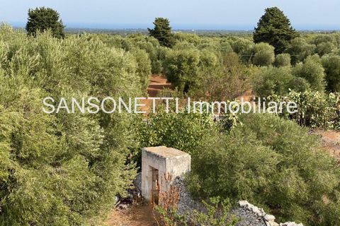 Landejendom i Ostuni, Brindisi, Ostuni - € 2.150.000 | Ref: ALSAO - foto 33