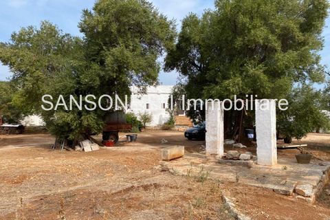 Landejendom i Ostuni, Brindisi, Ostuni - € 2.150.000 | Ref: ALSAO - foto 41
