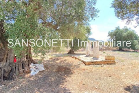Landejendom i Ostuni, Brindisi, Ostuni - € 2.150.000 | Ref: ALSAO - foto 43