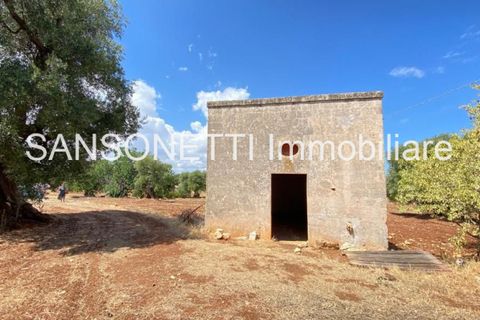 Landejendom i Ostuni, Brindisi, Ostuni - € 2.150.000 | Ref: ALSAO - foto 47