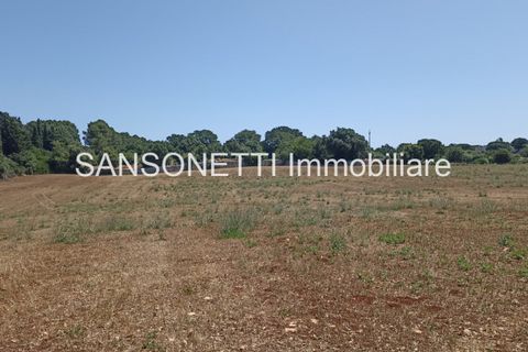 Landejendom i Monopoli, Bari, Monopoli - € 430.000 | Ref: CELLA - foto 11