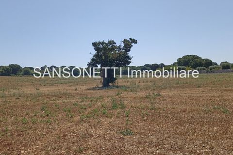 Landejendom i Monopoli, Bari, Monopoli - € 430.000 | Ref: CELLA - foto 12