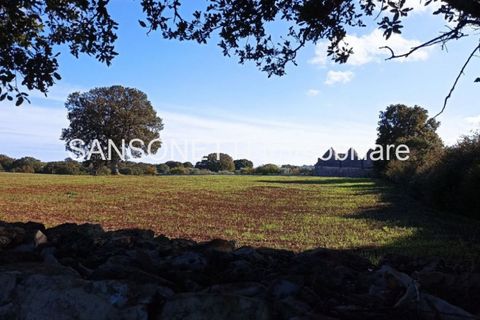 Landejendom i Monopoli, Bari, Monopoli - € 430.000 | Ref: CELLA - foto 19