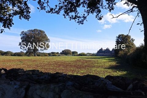Landejendom i Monopoli, Bari, Monopoli - € 430.000 | Ref: CELLA - foto 20
