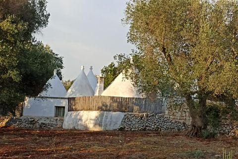 Landejendom i Ostuni, Brindisi, Ostuni - € 375.000 | Ref: MAKIOS - foto 2