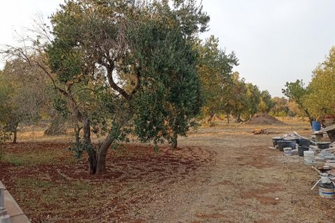 Landejendom i Ostuni, Brindisi, Ostuni - € 375.000 | Ref: MAKIOS - foto 41