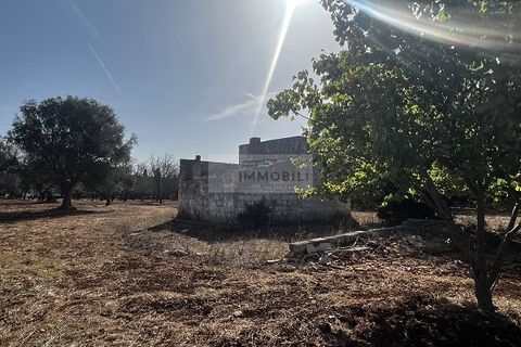 Helårsgrund i Carovigno, Brindisi, Carovigno - € 65.000 | Ref: LM6 lamia - foto 17