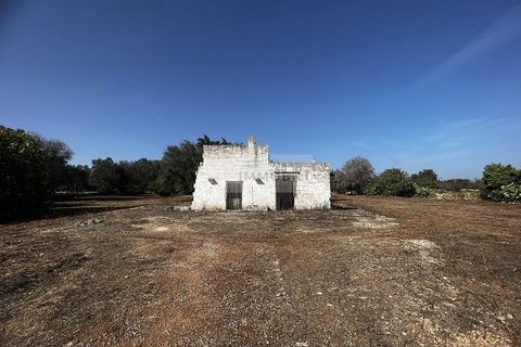 Helårsgrund i Carovigno, Brindisi, Carovigno - € 65.000 | Ref: LM6 lamia - foto 1