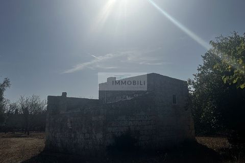 Helårsgrund i Carovigno, Brindisi, Carovigno - € 65.000 | Ref: LM6 lamia - foto 18