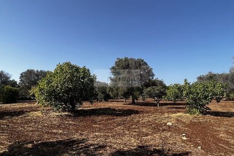 Helårsgrund i Carovigno, Brindisi, Carovigno - € 65.000 | Ref: LM6 lamia - foto 16