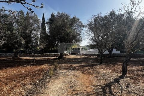 Helårsgrund i Carovigno, Brindisi, Carovigno - € 65.000 | Ref: LM6 lamia - foto 6