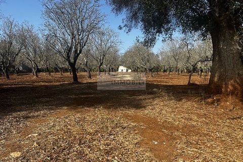 Helårsgrund i Carovigno, Brindisi, Carovigno - € 65.000 | Ref: LM6 lamia - foto 2