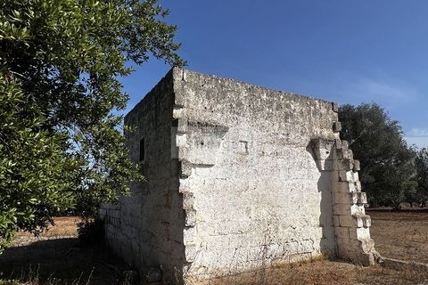 Helårsgrund i Carovigno, Brindisi, Carovigno - € 65.000 | Ref: LM6 lamia - foto 20