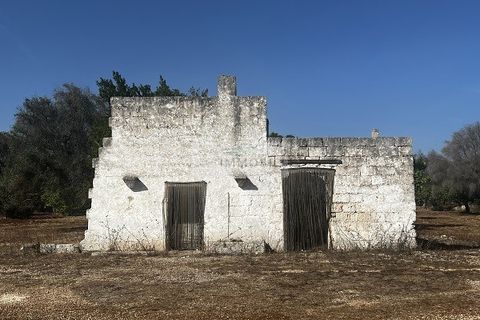 Helårsgrund i Carovigno, Brindisi, Carovigno - € 65.000 | Ref: LM6 lamia - foto 21