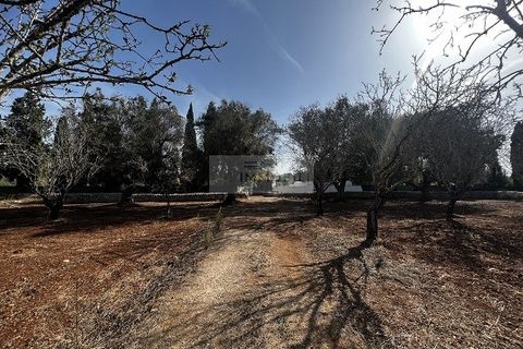 Helårsgrund i Carovigno, Brindisi, Carovigno - € 65.000 | Ref: LM6 lamia - foto 5