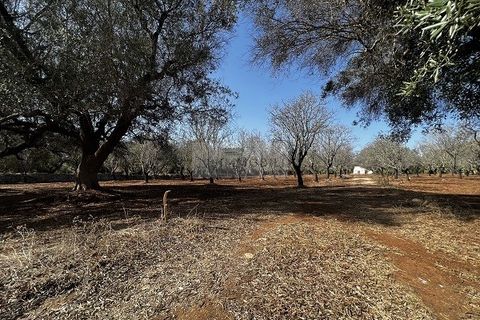 Helårsgrund i Carovigno, Brindisi, Carovigno - € 65.000 | Ref: LM6 lamia - foto 4