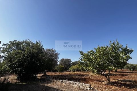 Helårsgrund i Carovigno, Brindisi, Carovigno - € 65.000 | Ref: LM6 lamia - foto 15